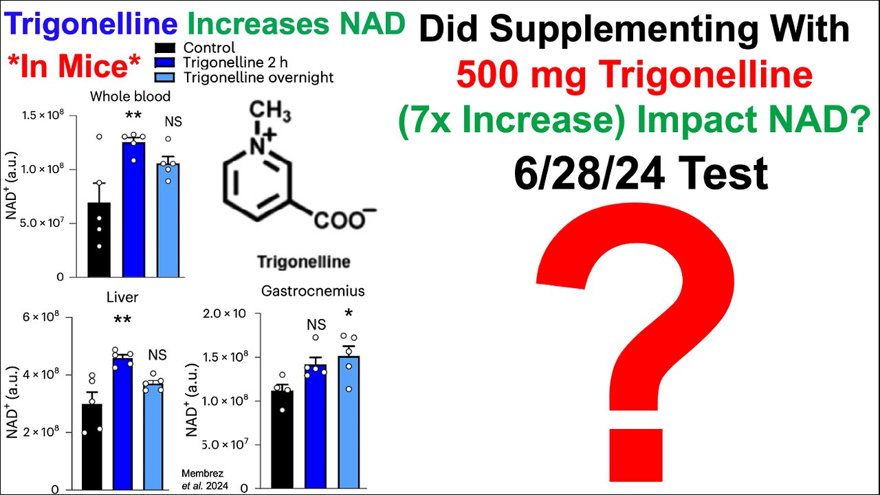 Did Supplementing With Trigonelline Impact NAD?