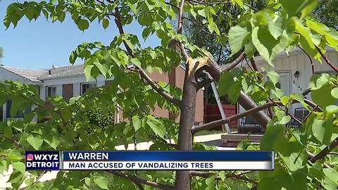 Police investigate destruction of trees in Warren neighborhood