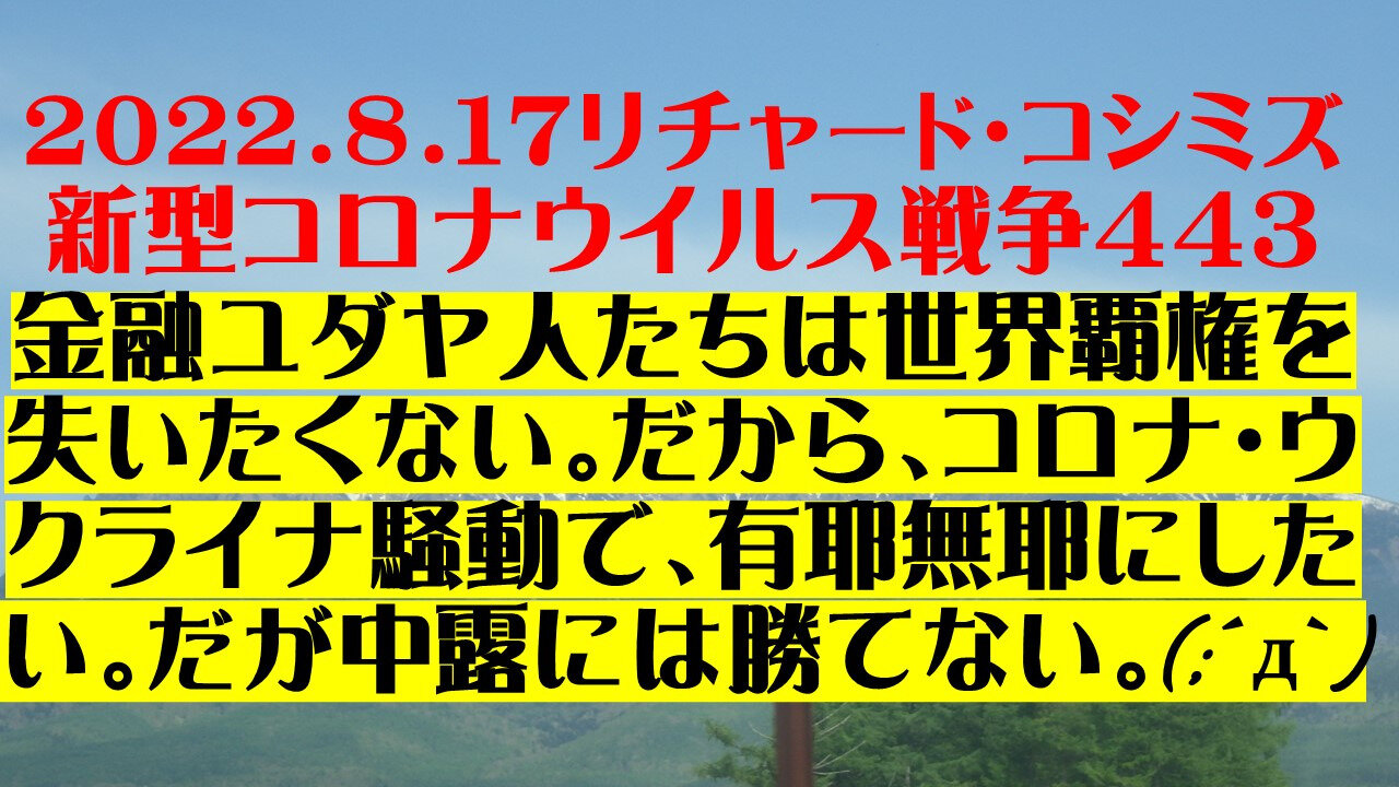 2022.08.17 リチャード・コシミズ新型コロナウイルス戦争443