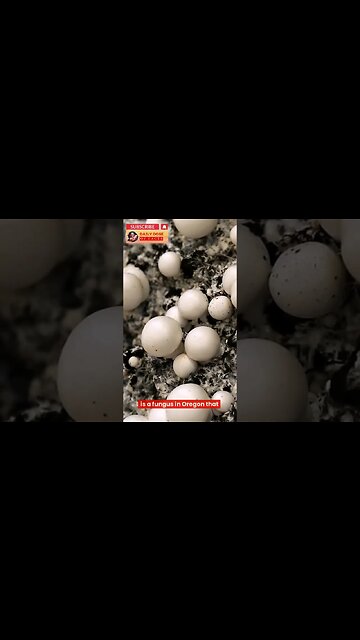 Facts you should not know #shorts