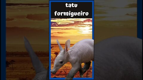 💥 OQUE É ESSE ANIMAL ?