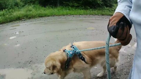 July 2nd, staying off road to keep Flynn clean