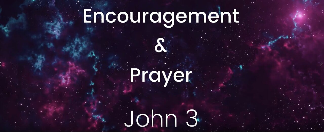 John 3:28-30