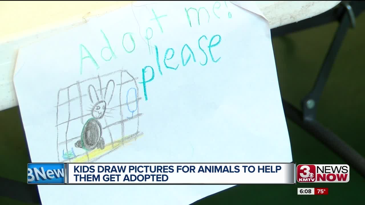 Adoption Pictures