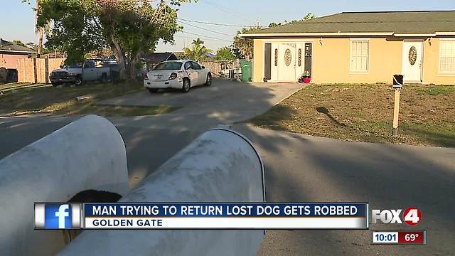 Man tries to return lost dog, gets robbed