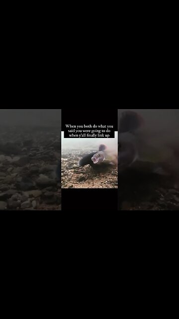 It really be like that! 🤣🤣🤣 #shorts #short #subscribe #viral #shortvideo #reels