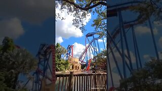 Day Tripping Busch Gardens, Tampa FL