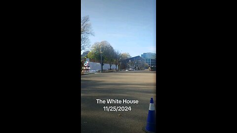 The WH 11/25/2024 The WH 11/25/2024