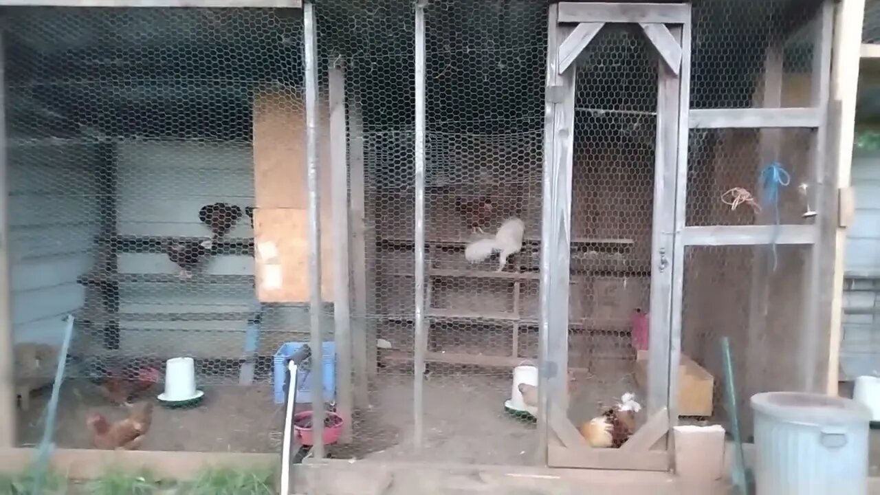 The easy way to store Food. Prepping 2022, 2023