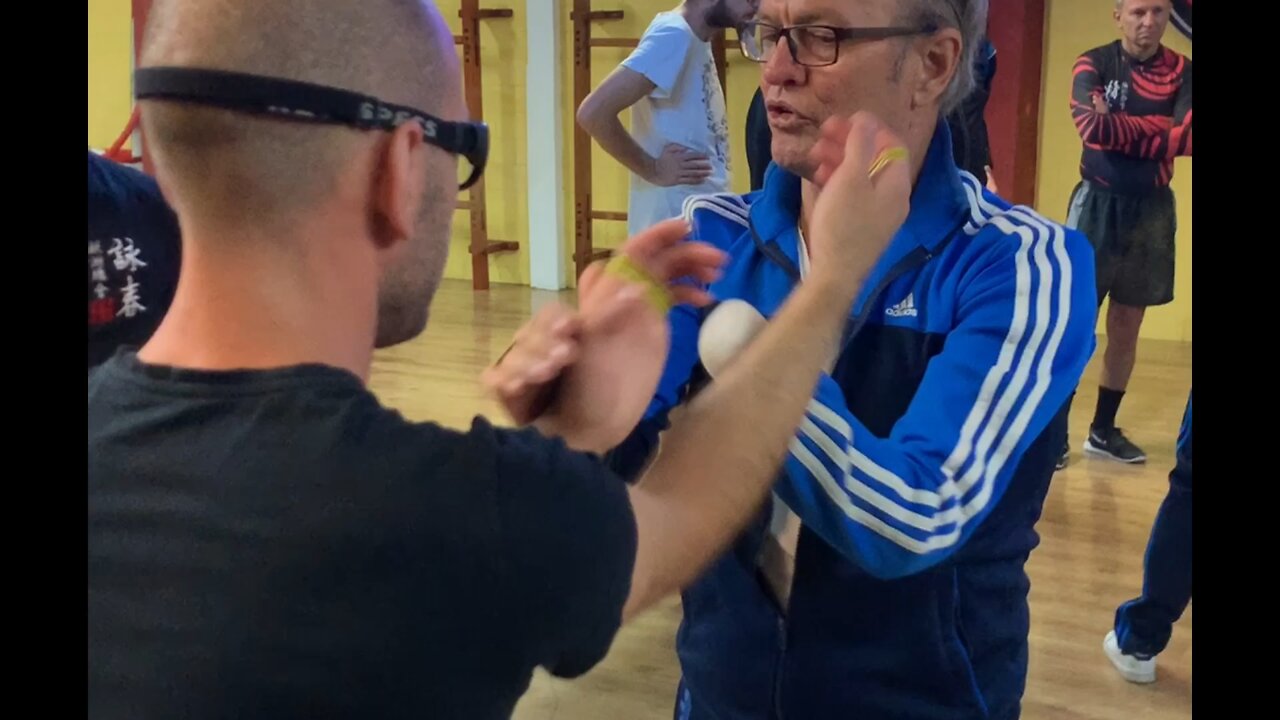 Ving Tsun Chi Sao Training