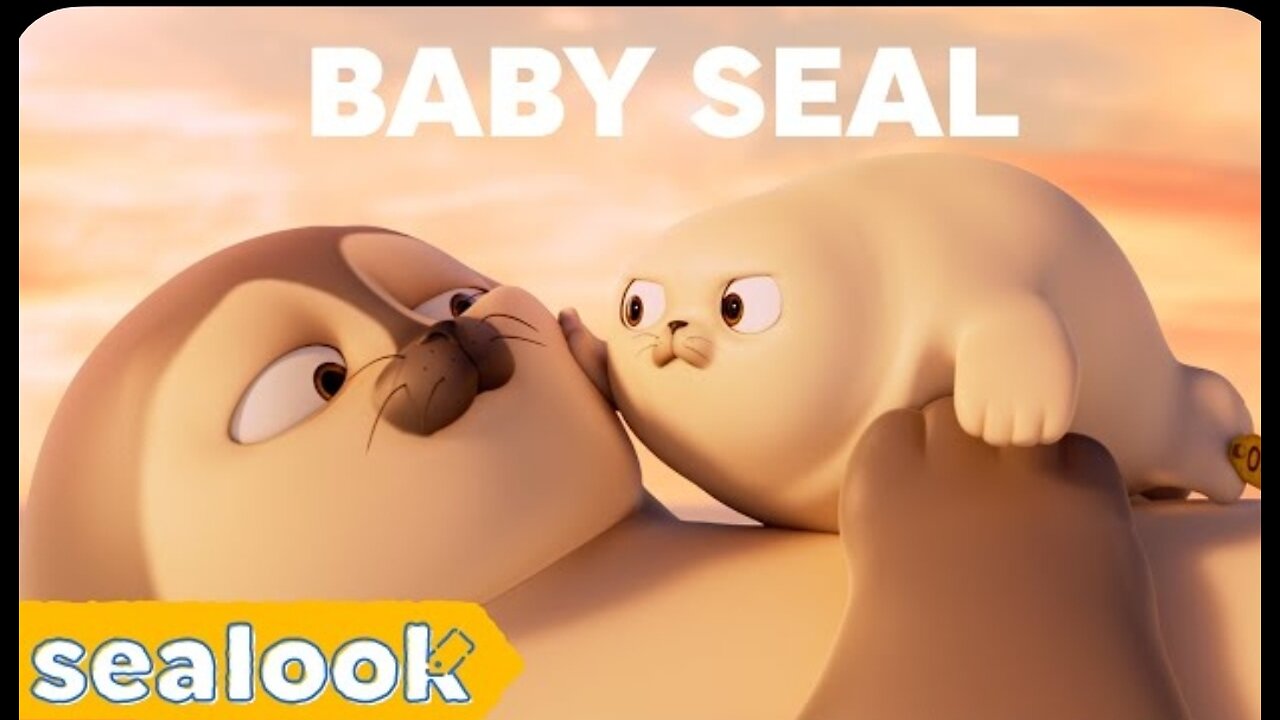 CUTENESS EXPLOSION | Baby Seal special | SEALOOK | Episodes compilation