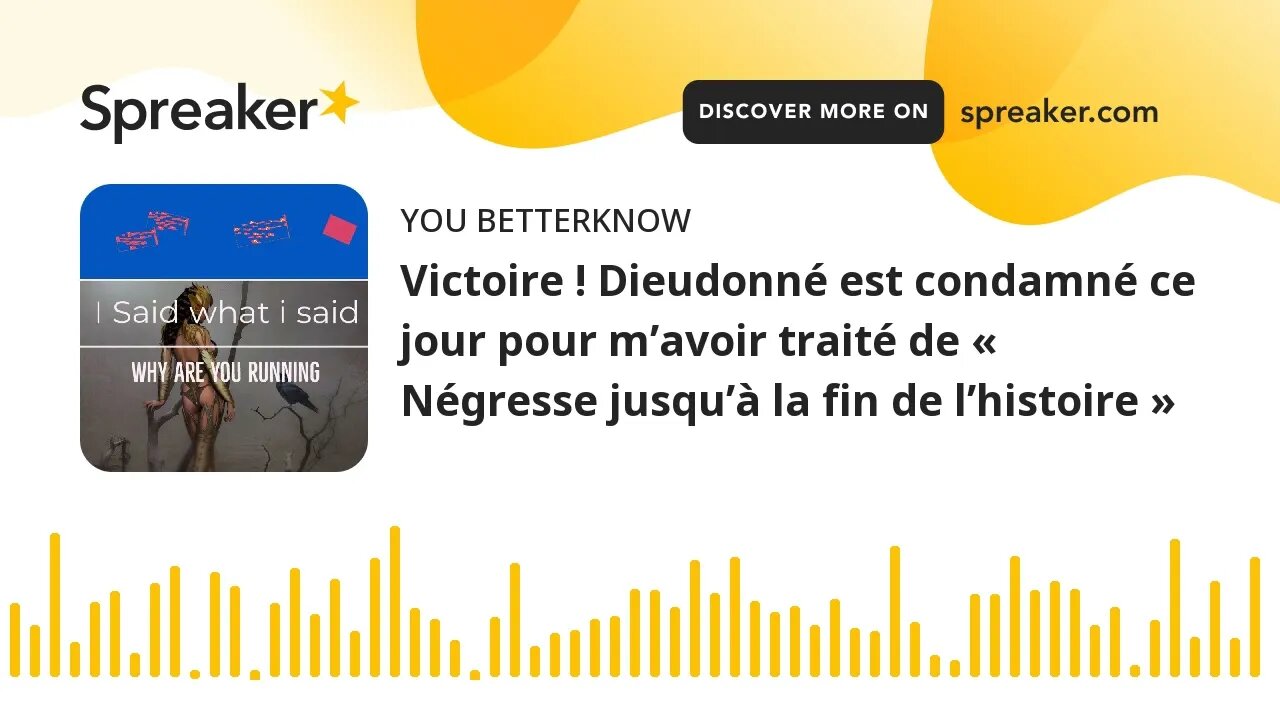 Victoire ! Dieudonné est condamné ce jour pour m’avoir traité de « Négresse jusqu’à la fin de l’hist