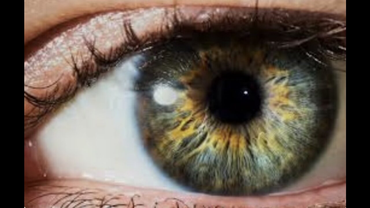 THE FACTS OF REVELATION