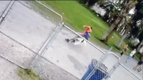 Community concerned after pit bull attacks, injures boy in Palm Beach County