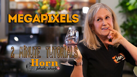 HORN PHOTO 2-Minute Tutorial MEGAPIXELS