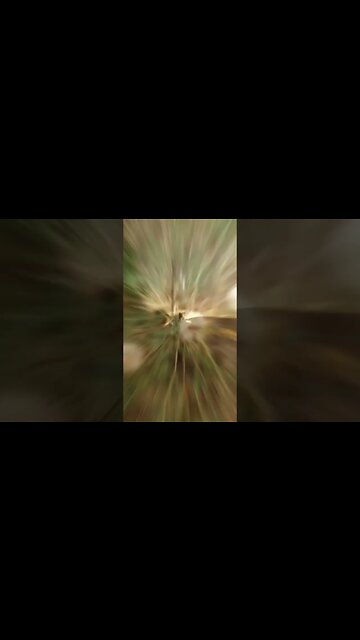 Mañana de Domingo. #tacuarembó #uruguay 22/01/2023