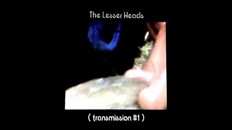 The Lesser Heads - Transmission #1 - 01 T1_Untitled01