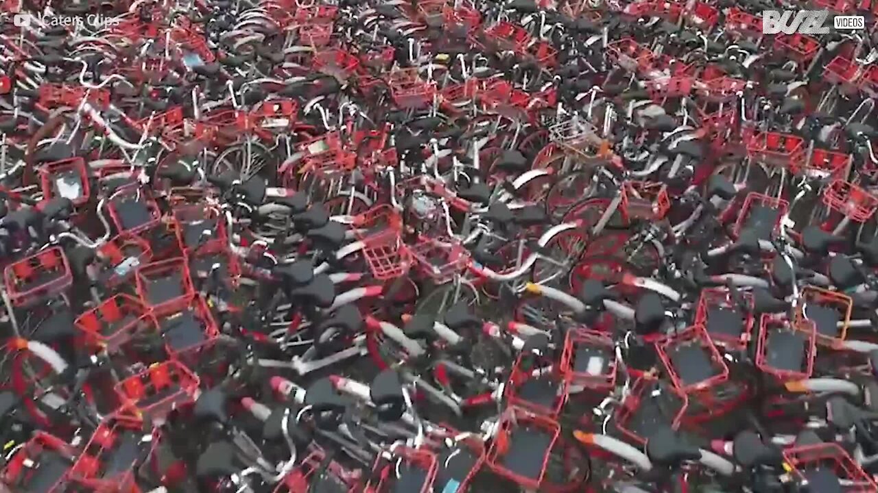 Le impressionanti immagini di un deposito di migliaia di biciclette