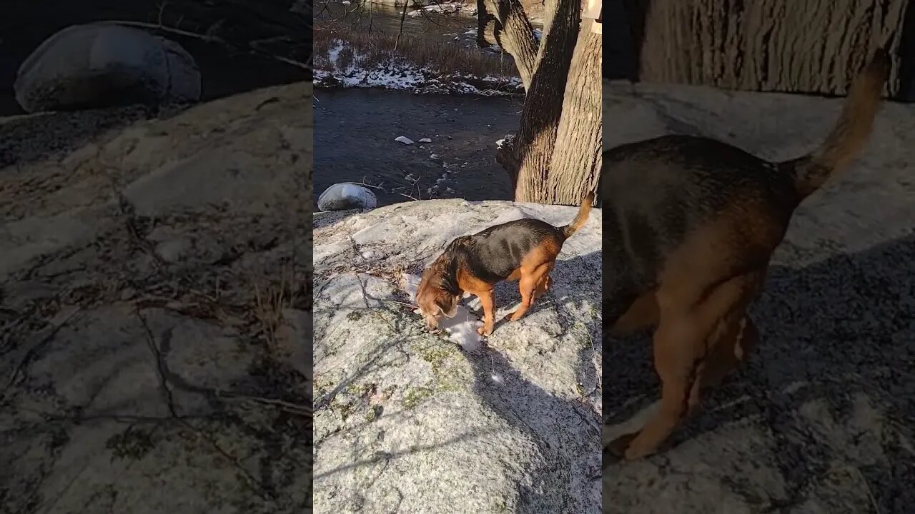 Beautiful Morning... ❤️