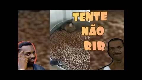 TENTE NÃO RIR - MELHOR CAMA PRO PET PREGUIÇOSO 😂