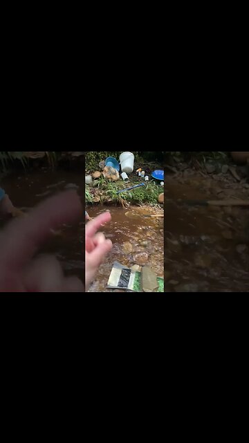 Prospecting for a $500000 gold nugget!