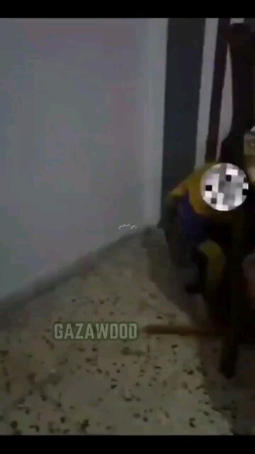 Is this the kind of education you give your "Innocent Child"? Palestinazis do!