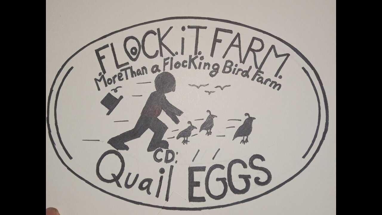 Flock it Farm: Testing Quick Quail shears: Warning Graphic Content