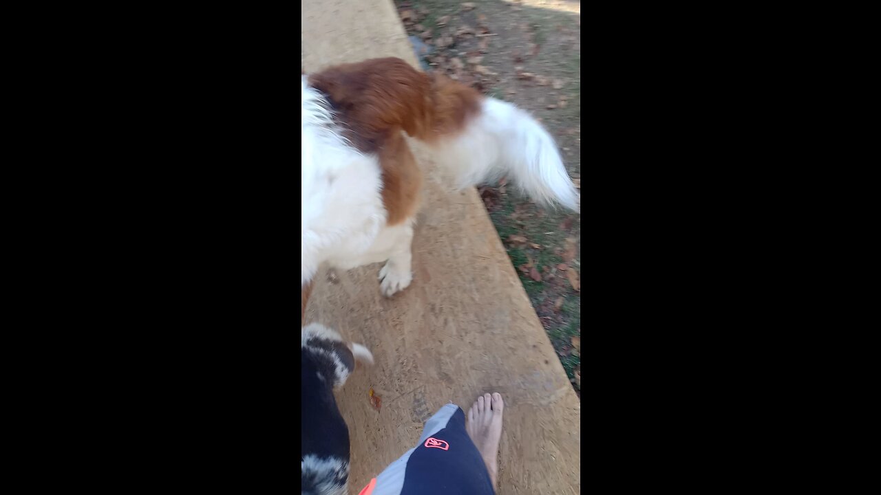 two best friends