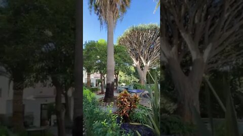 Gibraltar Garrison Library Garden View #shorts shorts