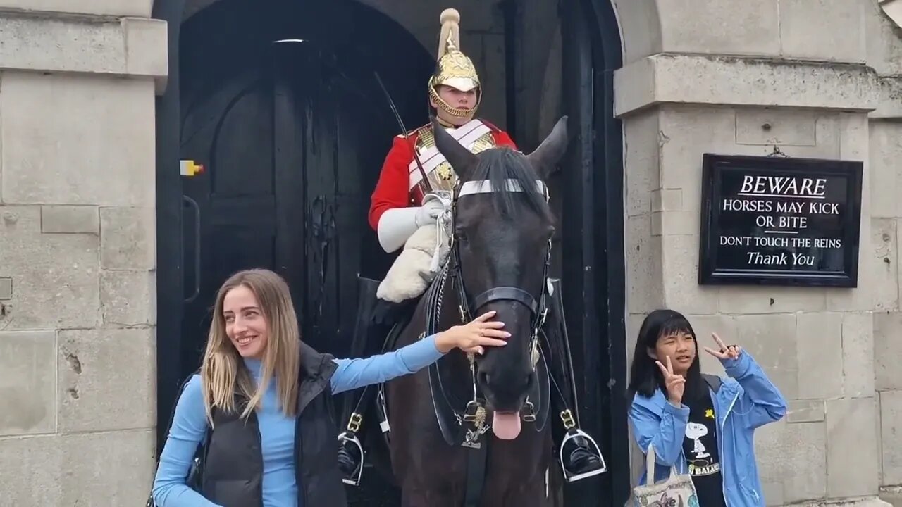 rein grabbing a friendly horse and the sign ignored #horseguardsparade