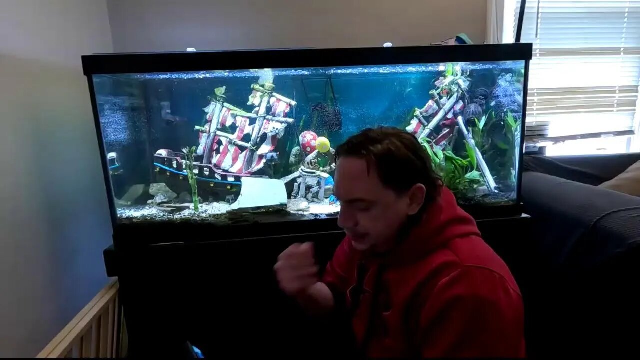 cleaning fish tank