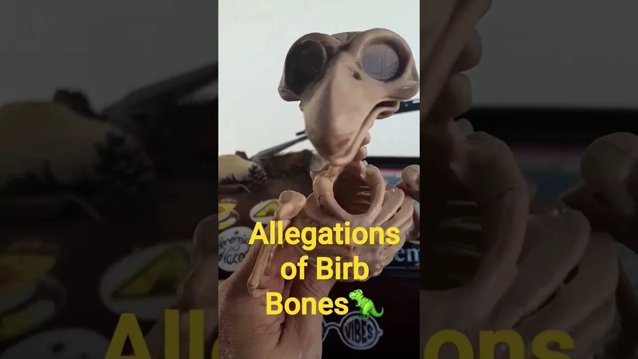 🦖 Bones?🥺🤭