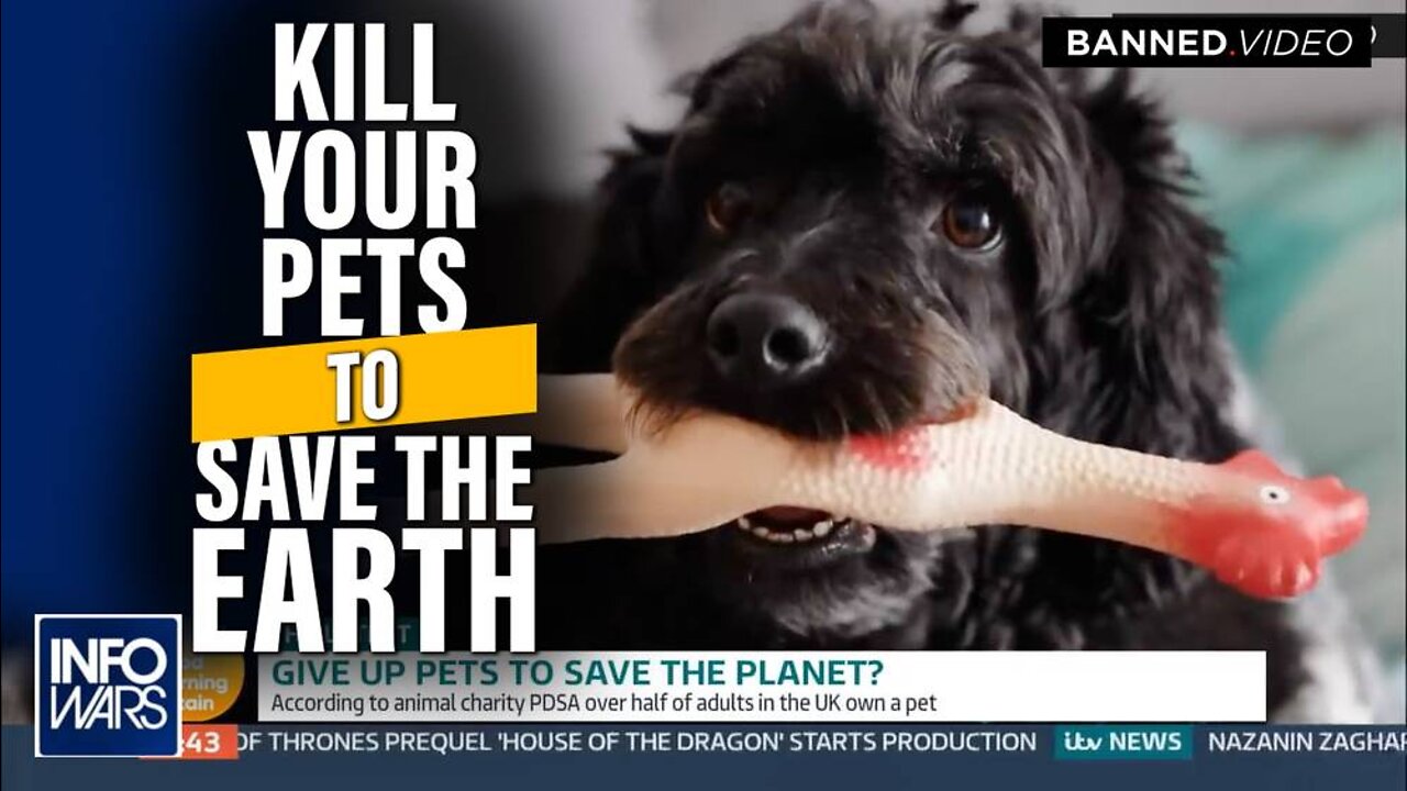 Murder Your Dog and Cat: MSM Officially Calls for Extermination of Pets to Save Earth