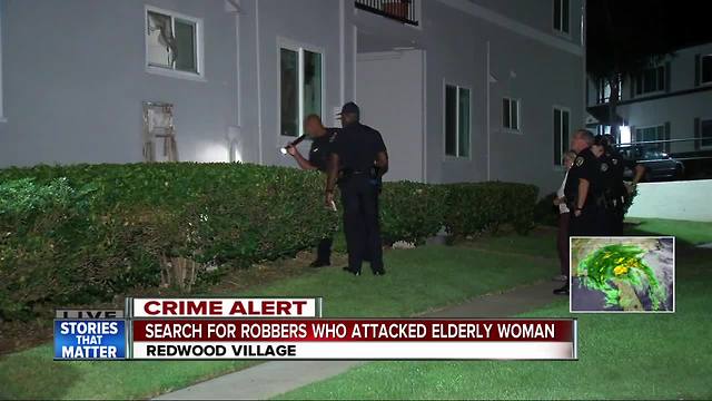 Men break into woman's home, rob her