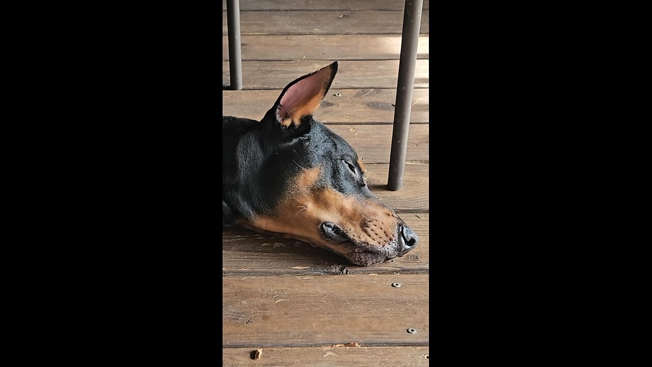 Vader decides to chill out
