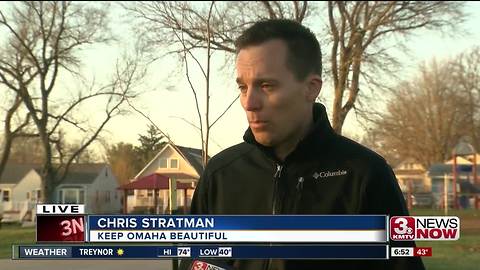 Battling against the emerald ash borer