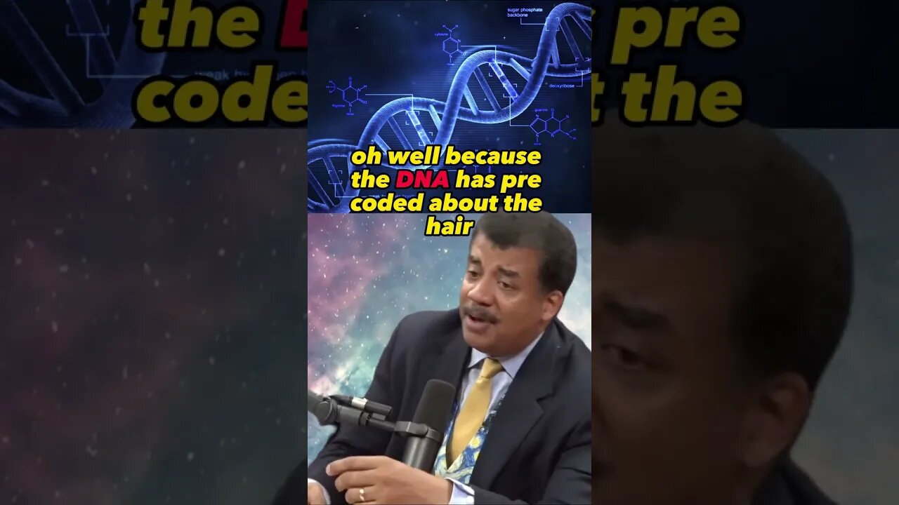 You Got a Bald Head - Neil Degrasse Tyson and Joe Rogan #outofcontext