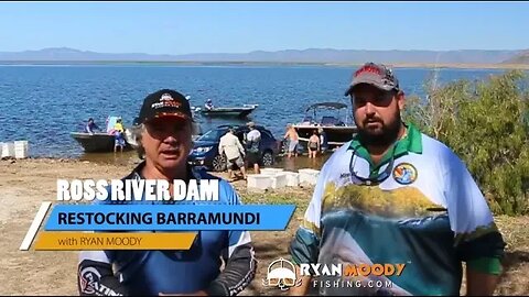 Stocking barramundi in Ross River Dam