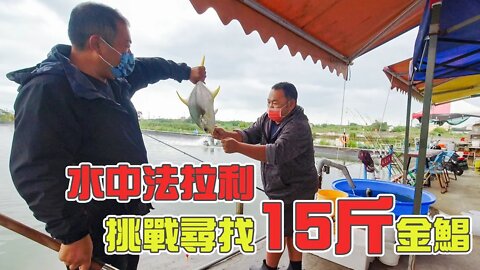 【台客去釣魚】今天不玩龍膽！來搞看看能不能把這池15斤大金鯧釣上來？ feat.八方漁養殖場