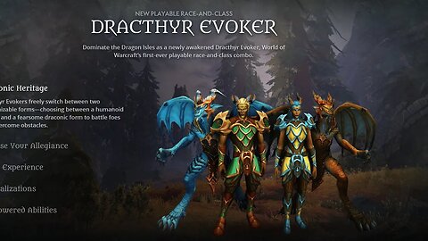 New Wow Dragonflight Class/Race