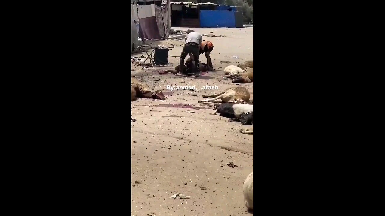 The jewish state has bombed a child in a wheel chair, the few animals&everything in surrounding area