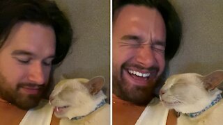 Cat adorably talking in his sleep