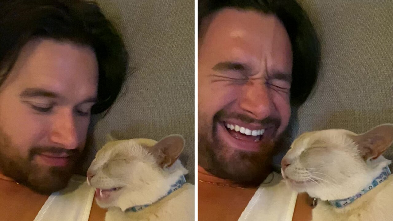 Cat adorably talking in his sleep