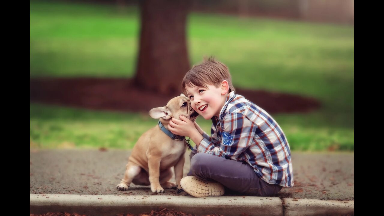 Dog Meeting Human Baby For The First Time Compilation Baby Care