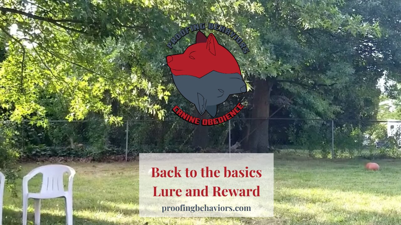 Back to the basics Lure and Reward part 3