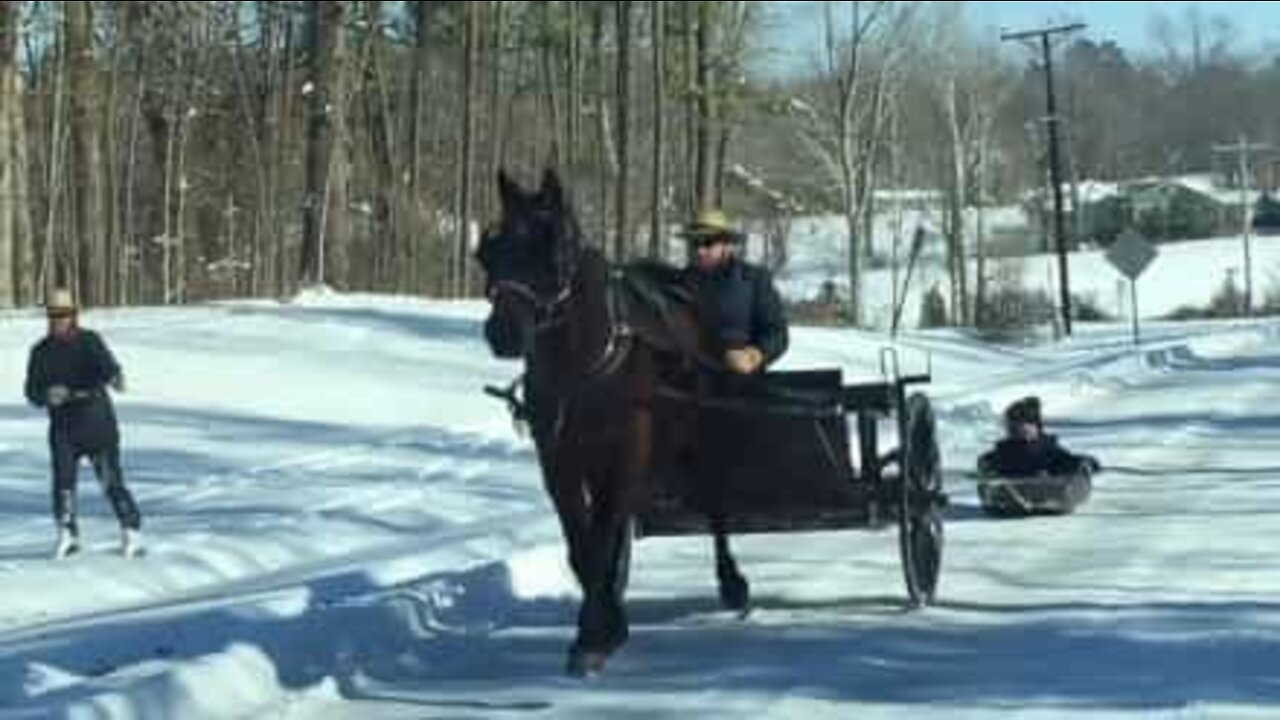 Amish usam carroça para esquiar numa estrada