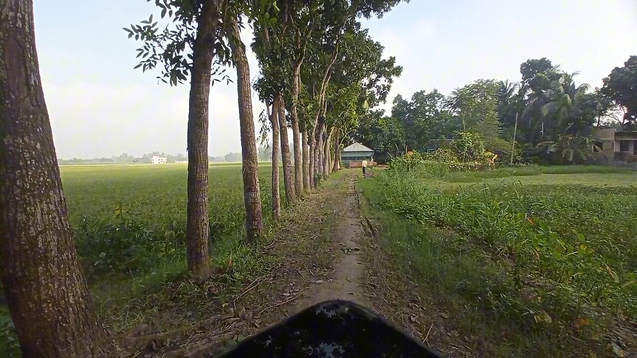 Beauty of nature during winter paddy harvesting season.