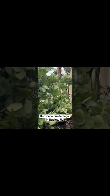 #hurricaneian damage in #naples