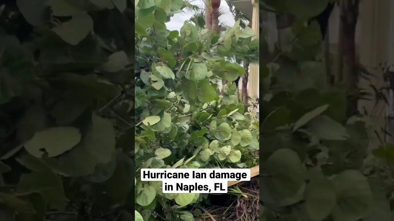 #hurricaneian damage in #naples