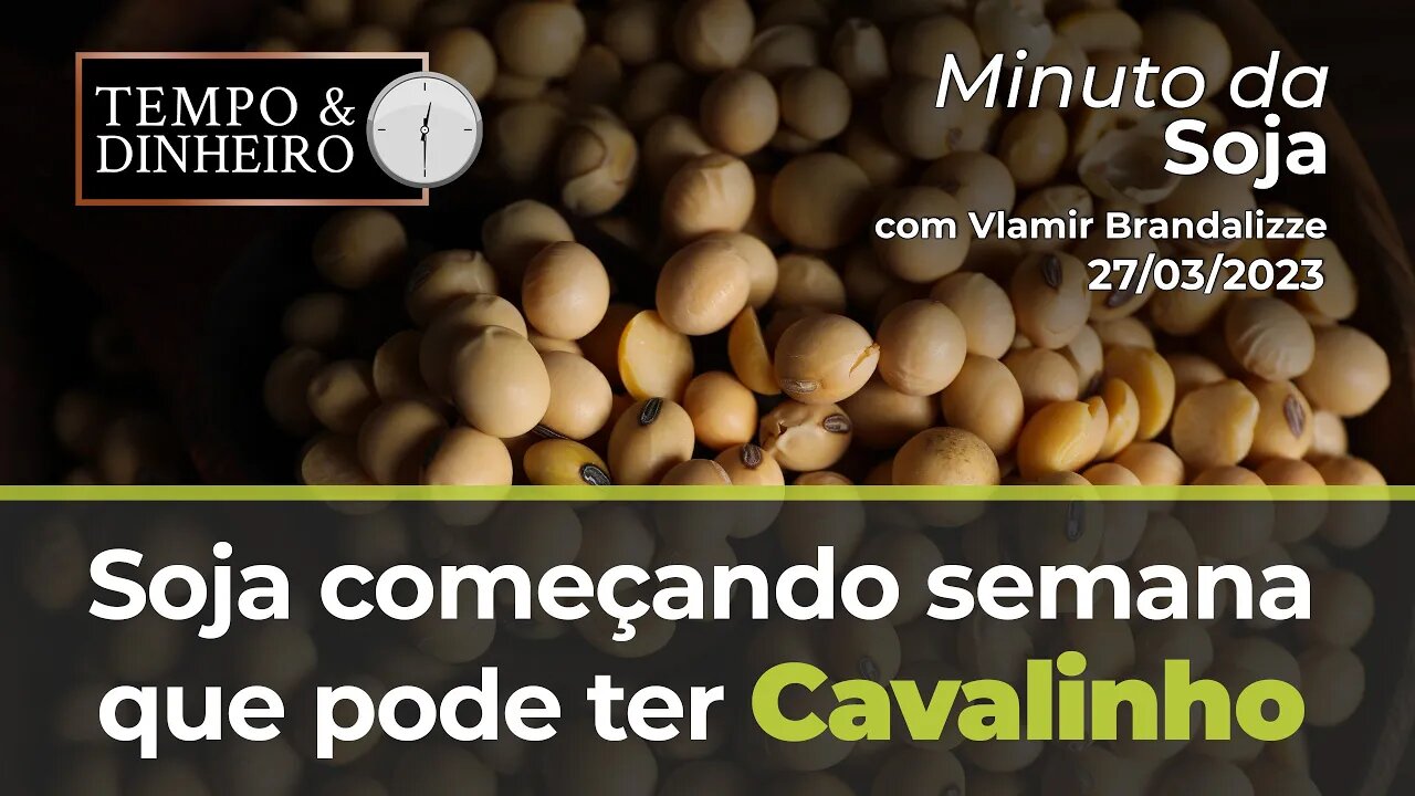 Soja começando semana que pode ter Cavalinho.